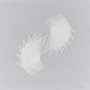 Whisper